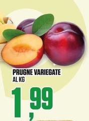 Prugne Variegate