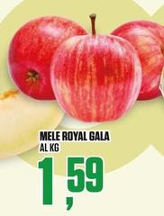 Royal - Mele Gala
