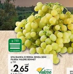 Semi - Uva Bianca O Rossa Senza  Filiera