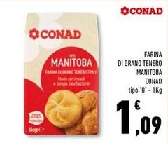 Conad - Farina Di Grano Tenero Manitoba