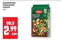 Findus - Minestrone Tradizione