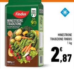 Findus - Minestrone Tradizione