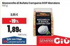 Campana - Mozzarella Di Bufala  DOP