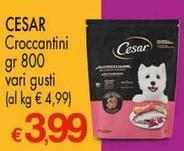 Cesar - Croccantini