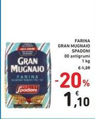 Molino spadoni - Farina Gran Mugnaio