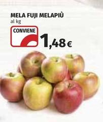 Mela Fuji