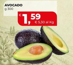 Avocado