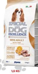 Monge - Dog Dog Dog Dog Dog Dog Treatment Activity Activity Activity Activity Activity Activity Food