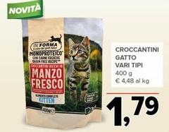 Croccantini Gatto
