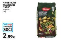 Findus - Minestrone Tradizione