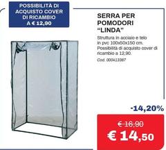 Serra Per Pomodori Linda