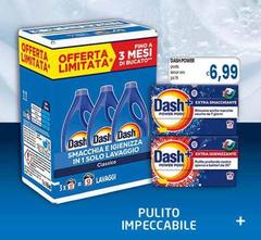 Dash - Pulito Impecable