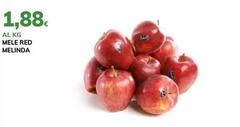 Melinda - Mele Red