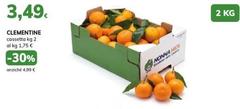 Clementine