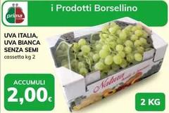 Semi - Uva Italia, Uva Bianca Senza