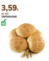 Tartarughe