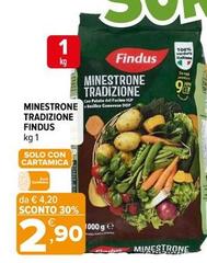 Findus - Minestrone Tradizione