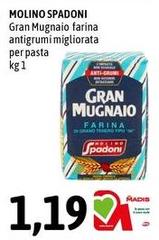 Molino Spadoni - Gran Mugnaio Farina Antigrumi Migliorata Per Pasta