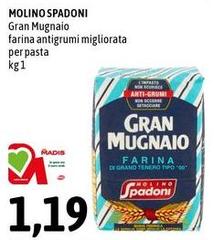 Molino Spadoni - Gran Mugnaio Farina Antigrumi Migliorata Per Pasta