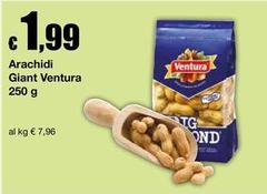 Ventura - Arachidi Giant