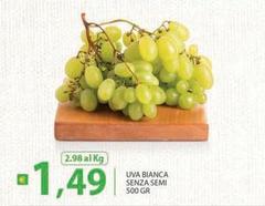 Uva Bianca Senza Semi