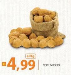 Noci Guscio