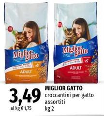 Croccantini Per Gatto