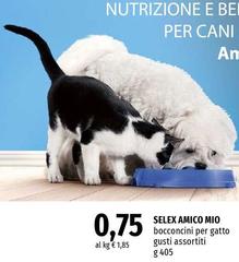 Selex - Amico Mio