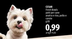 Cesar - Fresh Bowls Patè Per Cane Anatra E Riso, Pollo E Carote