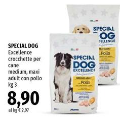 Monge - Special Dog