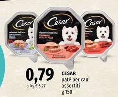 Cesar - Pate Per Cani Assortiti