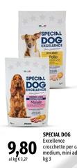 Monge - Special Dog