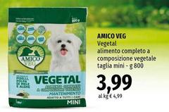 Amica verde - Vegetal