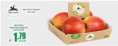 Bio - Alsace Nero Mele Para Ciaci Alba