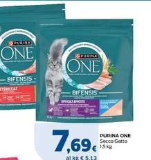Purina - Secco Gatto