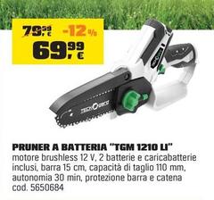 Teckgard - Pruner A Batteria 