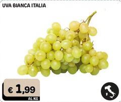 Uva Bianca Italia