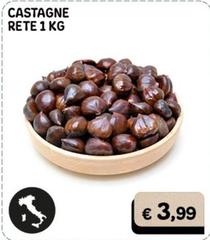 Castagne Rete 1 Kg