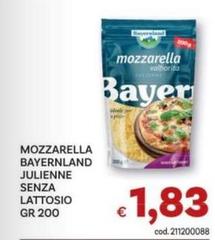Bayer - Mozzarella nland Julienne Senza Lattosio