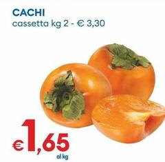 Cachi