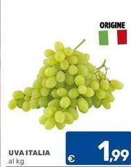 Origine - Uva Italia
