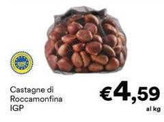 Castagne Di Roccamonfina IGP
