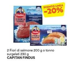 Findus - 2 Fiori Di Salmone O Tonno Surgelati