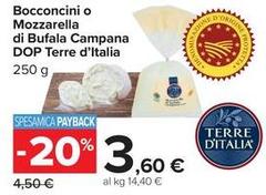Terre d'Italia - Bocconcini O Mozzarella Di Bufala Campana DOP