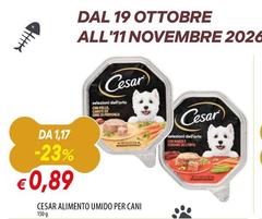 Cesar - Alimento Umido Per Cani