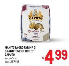 Caputo - Manitoba Oro Farina Di Grano Tenero Tipo 