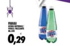 Fiuggi - Acqua Naturale/Vival/Freezzante