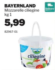 Bayernland - Mozzarelle Ciliegine