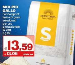 Molino - Farina Di Grani Selezionati Per Uso Professionale W 240