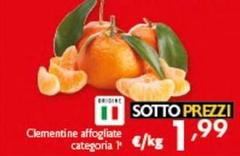 Clementine Affoglate Categoria 1*